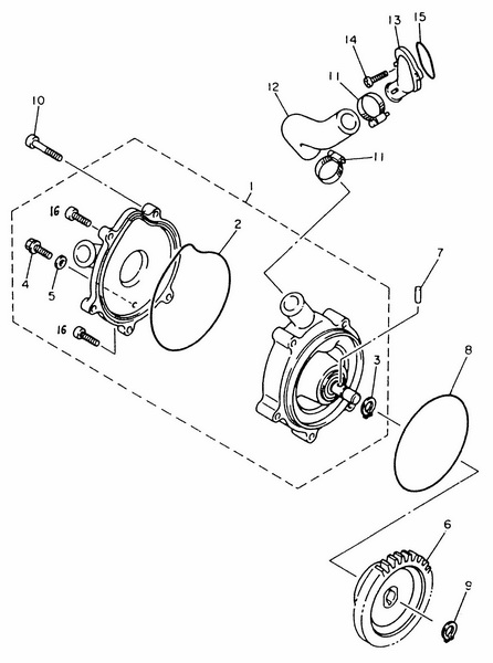 O-Ring